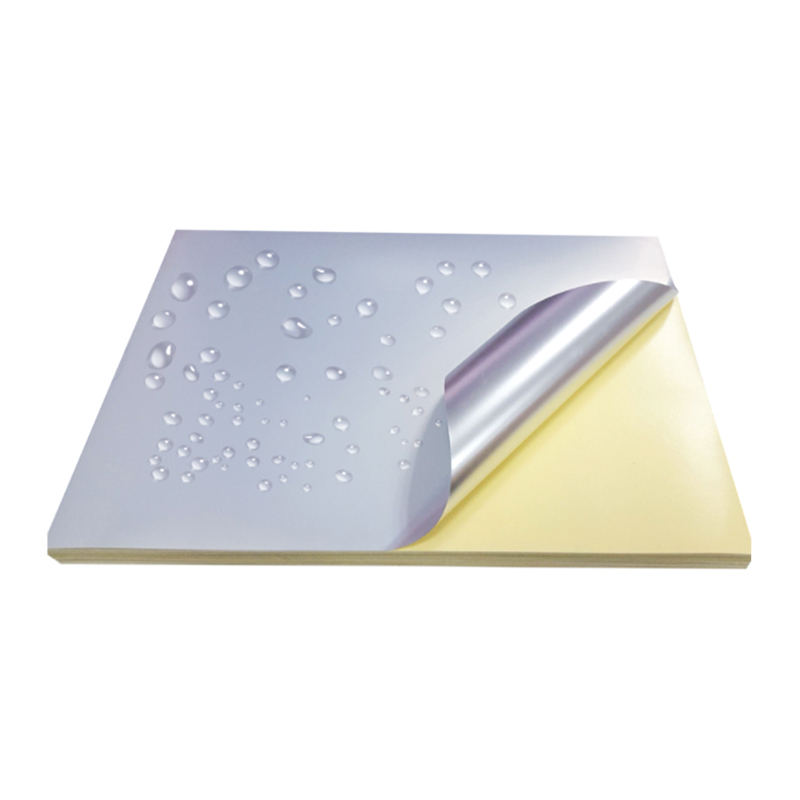 50um matt sølv kjæledyrfilm med gul silikonfôr